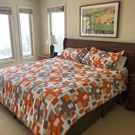 The Thoughtful Dog Bed & Breakfast South Brook Екстериор снимка