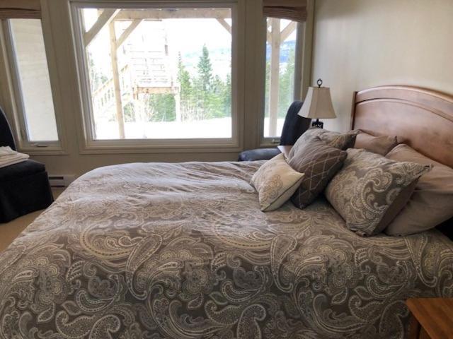 The Thoughtful Dog Bed & Breakfast South Brook Екстериор снимка