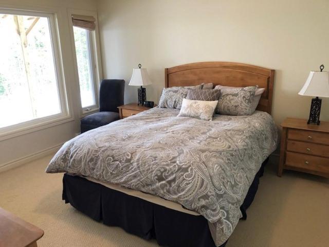 The Thoughtful Dog Bed & Breakfast South Brook Екстериор снимка